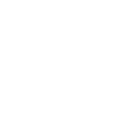 Logo des Werbeagenturkunden straussig aus dem Landkreis Gifhorn